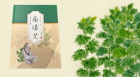 【行業(yè)資訊】國內(nèi)首部艾草專著《南陽艾》，在南陽新書首發(fā)！