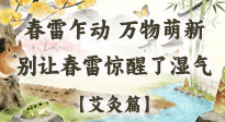 【二十四節(jié)氣灸】春雷驚醒濕氣！驚蟄艾灸3穴，疏肝祛濕養(yǎng)元氣！